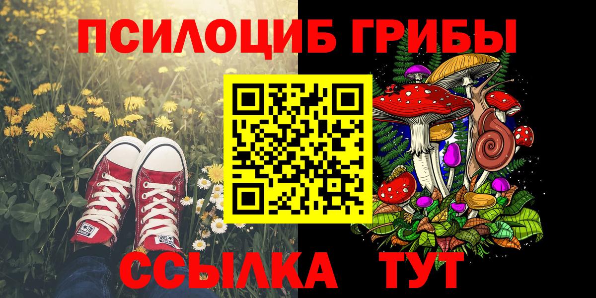 Псилоцибиновые грибы MAGIC MUSHROOMS  Вход с VPN  Минусинск 